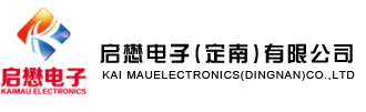启懋电子(定南)有限公司